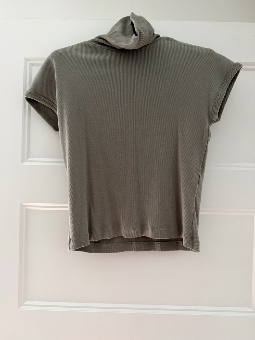 ZARA SHORT SLEEVE TURTLENECK TOP